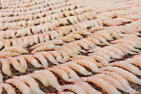 포토 JPG 해외이미지 전통 잡화 아시아 음식 바다 분홍색 백그라운드 다이어트 오렌지 재료 태국 새우 선반 건조 건강 종류 어류 요리 동양인 사람없음 컬러풀 약 꼬리표 세일 상점 식당 중국 신선 시장 작음 계산대 해산물 향신료 날것 뿌리 태평양 대서양 슈퍼마켓 생식 해외202004 해외포토 나라 컬러 가구 과일 의학 갑각류 인종 라벨 수중동물 크기 향미료 파일형식