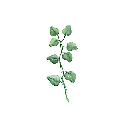 포토 JPG 해외이미지 나무 식물 템플릿 디자인 배너 계절 실루엣 백그라운드 잎 꽃무늬 패턴 일러스트 자연 벽지 추상 수채화 미술 사람없음 그래픽 장식 초록색 물 여름 페인트 봄 수확 흰색 나뭇가지 붓 신용카드 스케치 허브 오브젝트 싱글 그림 유기농 질감 손그림 내추럴 고립 엘리먼트 스타일 해외202004 해외포토 자연요소 웰빙 꽃 컬러 무늬 농업 문화예술 촬영기법 금융 생태계 파일형식