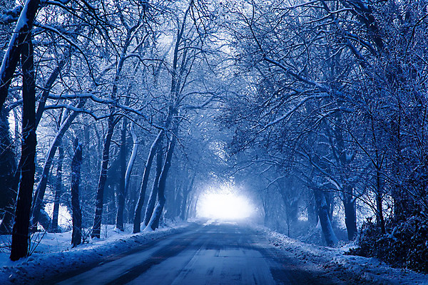 포토 JPG 해외이미지 나무 도로 컨셉 겨울 거리 파노라마 풍경 사람없음 얼음 시골 작음 루트 밭일 해외202004 해외포토 자연요소 식물 계절 길 교통시설 촬영기법 크기 파일형식