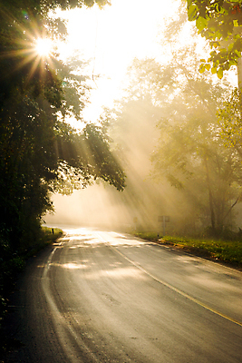 포토 JPG 해외이미지 계절 공원 도로 길 여행 백그라운드 단풍 잎 자연 아침 산 풍경 사람없음 야외 목재 빛 컬러풀 햇빛 반사 노란색 환경 맑음 놀람 활발 수확 안개 가을 나뭇가지 개울 언덕 만족 복고 무침 내추럴 깊이 해외202004 해외포토 주간 나무 식물 공공시설 감정 음식 컬러 컨셉 농업 재료 교통시설 날씨 표정 강 태양 생태계 파일형식