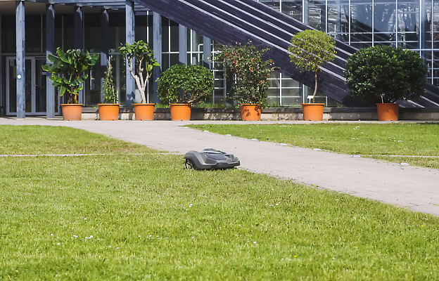 포토 JPG 해외이미지 식물 꽃 백그라운드 밭 주택 잔디 사람없음 야외 초록색 정원 검은색 축구 기계 봄 장비 업무 작음 땅 자르기 무선전화기 스마트 로봇 서비스 원예 조경 시스템 손질 유지 다듬기 돌봄 뒤뜰 베터리 자동 제어 해외202310 해외포토 계절 컬러 컨셉 농업 모션 취미 건물 구기 작업 크기 전화기 파일형식