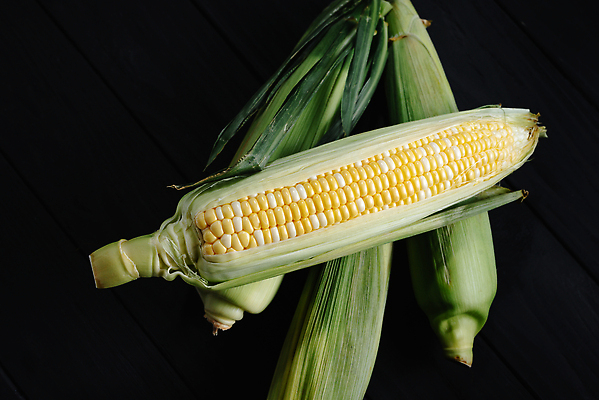 포토 JPG 해외이미지 식물 음식 백그라운드 잎 패턴 농업 다이어트 채소 재료 자연 탁자 건강 옥수수 사람없음 목재 초록색 농작물 농장 노란색 우주 식사 어둠 수확 껍질 신선 황금 닫기 달콤 맛 정상 낟알 시리얼 먹기 유기농 질감 날것 내추럴 생식 숙성 채식주의자 맛있는 해외202310 해외포토 나무 웰빙 산업 컬러 가구 컨셉 무늬 모션 곡류 생태계 채식 파일형식