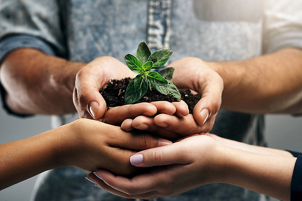포토 JPG 해외이미지 손 들기 근접촬영 신체부위 새싹 자연보호 희망 흙 성장 손모으기 해외202310 해외포토 식물 감정 뷰포인트 모션 자연 사람 손짓 보호 파일형식