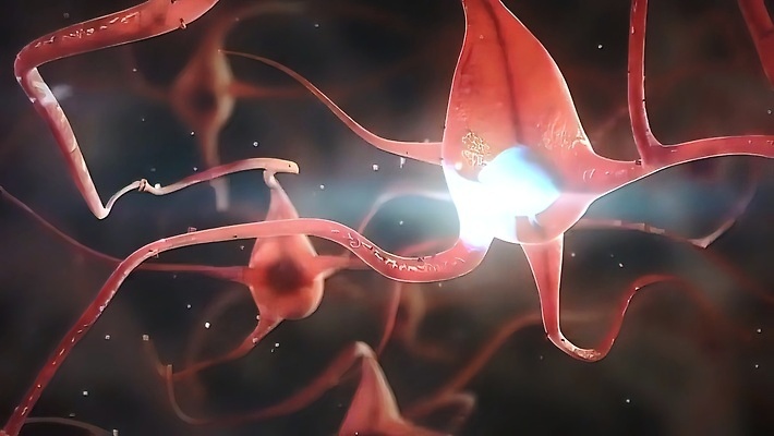 포토 JPG 해외이미지 과학 신체 오렌지 일러스트 해부 건강 사람 사람없음 그래픽 파란색 3D 검은색 고통 투명 코드 질병 불안 척추 뇌 생물학 시스템 염증 강조 해외202310 해외포토 교육 감정 컬러 과일 의학 뼈 디지털합성 파일형식