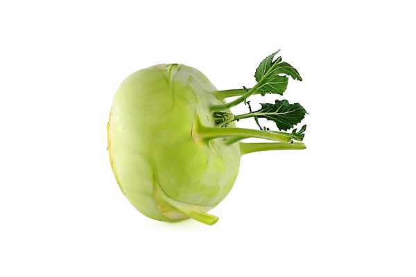 포토 JPG 해외이미지 식물 음식 백그라운드 잎 농업 다이어트 채소 재료 자연 건강 사람없음 초록색 여름 농장 주방 정원 샐러드 수확 흰색 신선 시장 맛 상추 유기농 원예 양배추 날것 뿌리 비타민 내추럴 고립 숙성 식용 채식주의자 콜라비 비건 해외202310 해외포토 웰빙 계절 산업 컬러 컨셉 취미 생태계 채식 영양소 파일형식