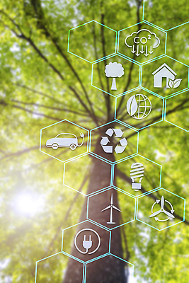 포토 JPG 해외이미지 나무 식물 손 남자 산업 지구 컨셉 잎 비즈니스 손가락 자연 아이디어 종류 사람 사람없음 초록색 글로벌 환경 스크린 힘 재활용 행성 터치 에너지 비즈니스맨 보호 심볼 사인 에코 가스 유지 내추럴 개발 기후변화 생태학 온실 줄이기 탄소 해외202310 해외포토 교육 컬러 모션 날씨 신체부위 우주 직장인 변화 친환경 생태계 파일형식