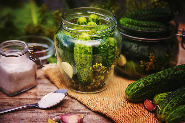 포토 JPG 해외이미지 손 배너 음식 백그라운드 겨울 채소 자연 열쇠 오이 주택 마늘 관리 사람없음 가로 초록색 상자 수확 신선 항아리 조미료 보호 향신료 피클 소금 후추 통조림 흙더미 딜 숙성 오이피클 절임 짠맛 카피스페이스 해외202310 해외포토 계절 컬러 컨셉 농업 건물 신체부위 흙 공백 도자기 맛 생태계 향미료 파일형식 더미