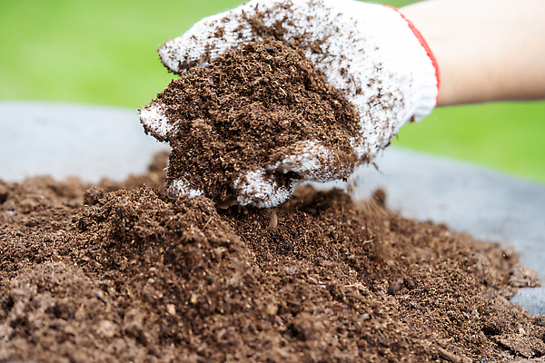 포토 JPG 해외이미지 나무 식물 손 공원 여자 지구 농업 자연 사람 취미 사람없음 초록색 흙 봄 성장 신선 잡기 냄비 작음 컨테이너 삽 유기농 원예 머리위 내추럴 개선 모종 생태학 심기 업그레이드 전염병 해외202310 해외포토 웰빙 계절 공공시설 교육 산업 컬러 모션 신체부위 질병 솥 크기 생태계 파일형식