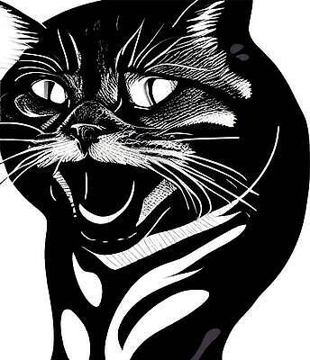 EPS 해외이미지 동물 응시 행복 얼굴 백그라운드 일러스트 장난 포유류 가족 자연 놀이 바닥 털 사랑 미소 앉기 야외 반려동물 뷰티 귀여움 검은색 고양이 가축 우정 회색 흰색 닫기 얼룩무늬 고립 해외202310 해외일러스트 시선 감정 컬러 컨셉 무늬 관계 모션 표정 신체부위 친구 생태계 파일형식 벡터