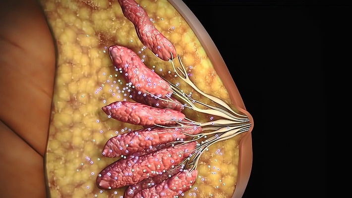 포토 JPG 해외이미지 모델 디자인 여자 과학 백그라운드 신체 일러스트 해부 추상 세포 엑스레이 미술 사람 사람없음 약 3D 인포그래픽 고통 우유 환자 수확 흰색 조직 오르간 가슴 생물학 만들기 암 외과 궤 그런지 돌봄 종양 해외202310 해외포토 교육 감정 컬러 무늬 농업 의학 모션 문화예술 유제품 병원 신체부위 건반악기 질병 디지털합성 파일형식