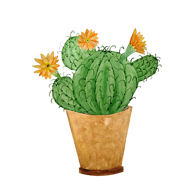 포토 JPG 해외이미지 클립아트 식물 디자인 꽃 화초 백그라운드 잎 꽃무늬 일러스트 자연 선인장 사람없음 그래픽 장식 초록색 세트 컬러풀 정원 봄 활발 사막 벚꽃 흰색 그리기 가시 냄비 만화 수집 그림 내추럴 고립 다육식물 심기 엘리먼트 이국적 해외202310 해외일러스트 계절 컬러 컨셉 무늬 모션 솥 생태계 파일형식