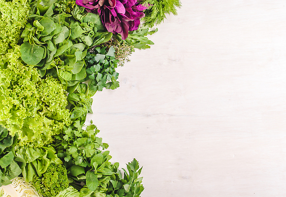 포토 JPG 해외이미지 식물 음식 백그라운드 잎 다이어트 채소 재료 파슬리 건강 종류 요리 사람없음 목재 빨간색 초록색 정원 이탈리아 흰색 신선 양념 맛 다발 수집 지중해 먹기 민트 허브 향신료 보따리 유기농 날것 향 레시피 바질 로즈메리 내추럴 백리향 세이지 오레가노 채식주의자 비건 해외202310 해외포토 나무 웰빙 유럽 바다 컬러 컨셉 모션 채식 향미료 파일형식