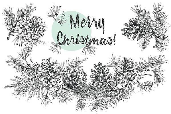 EPS 해외이미지 크리스마스 겨울 일러스트 사람없음 솔방울 솔잎 해외202310 해외일러스트 계절 기념일 잎 파일형식 벡터