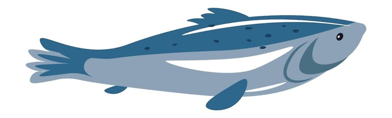 EPS 해외이미지 접시 음식 바다 다이어트 일러스트 재료 부분 건강 종류 육류 어류 요리 상점 주방 식당 식사 저녁식사 시골 신선 잡기 시장 맛 그릴 정상 지중해 먹기 해산물 메뉴 준비 날것 연어 모음 점심식사 고립 단백질 생식 송어 수경재배 오메가 벡터 맛있는 해외202310 해외일러스트 식기 컨셉 식재료 모션 주방용품 수중동물 영양소 파일형식