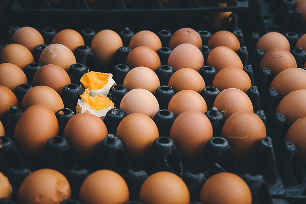 포토 JPG 해외이미지 동물 라이프스타일 음식 백그라운드 농업 자연 부활절 건강 웃음 사람없음 야외 초록색 경제 상자 농장 갈색 환경 주방 정원 계란 치킨 껍질 흰색 시골 시장 농부 상품 에코 유기농 날것 지역 팩 패키지 히스패닉 슈퍼마켓 판지 바이오 암탉 채식주의자 해외202310 해외포토 직업 웰빙 기념일 산업 컬러 표정 생활 상점 알 화장품 닭 암컷 생태계 채식 닭고기요리 파일형식