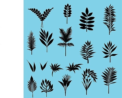 EPS 해외이미지 모양 나무 식물 디자인 실루엣 백그라운드 컨셉 잎 패턴 일러스트 자연 추상 미술 그래픽 장식 세트 검은색 웹 흰색 수집 심볼 사인 심플 서명 고립 엘리먼트 이국적 스타일 벡터 해외202310 해외일러스트 컬러 무늬 인터넷 문화예술 촬영기법 생태계 파일형식