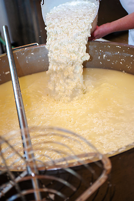 포토 JPG 해외이미지 직업 유럽 음료 컨셉 재료 공장 가족 자연 휴가 치즈 주택 피자 건강 식이요법 사람 사람없음 이탈리아 우유 흰색 시골 신선 업무 바퀴 작업실 맛 제조 농부 상품 먹기 크림 유기농 날것 지역 주인 공예가 모짜렐라치즈 오리지널 프로듀서 핸드메이드 중소기업 리코타치즈 해외202310 해외포토 웰빙 나라 컬러 회사 공업 관계 모션 유제품 패스트푸드 서양음식 건물 작업 생태계 파일형식