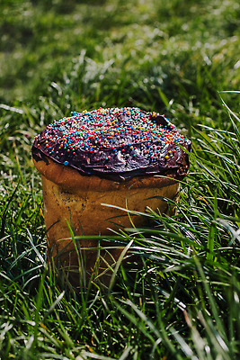 포토 JPG 해외이미지 스튜디오촬영 전통 계절 행복 기독교 종교 컬러 여행 벽지 선물 이벤트 잔디 사람없음 야외 장식 빛 햇빛 소풍 파티 바구니 주방 보라색 얼음 축제 페인트 봄 활발 기쁨 흰색 토끼 인사 원형 가루 부활절계란 무당벌레 명예 카피스페이스 해외202310 해외포토 자연요소 도형 식물 감정 곤충 컨셉 포유류 부활절 실내 반려동물 태양 야외활동 계란 공백 예절 파일형식