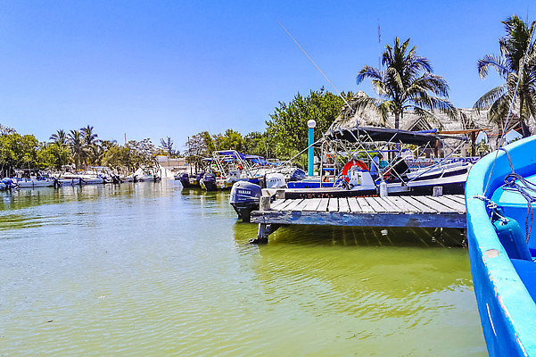 포토 JPG 해외이미지 나무 바다 섬 여행 요트 교통시설 자연 낚시 휴가 멕시코 주택 파노라마 손바닥 사람없음 건물 물 뷰티 마을 항구 보트 모래언덕 방파제 포트 유카탄 이국적 파라다이스 해외202310 해외포토 자연요소 식물 건축물 손 공공시설 교통 북아메리카 배_교통 레저 촬영기법 언덕 시설 생태계 파일형식
