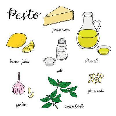 EPS 해외이미지 전통 디자인 배너 음식 컬러 백그라운드 잎 일러스트 재료 텍스트 치즈 마늘 요리 그래픽 초록색 주방 식당 요리사 이탈리아 인포그래픽 견과류 소나무 조미료 맛 기름 먹기 레몬 허브 향신료 메뉴 올리브 날것 소금 레시피 바질 고립 채식주의자 벡터 비건 페스토 해외202310 해외일러스트 나무 식물 직업 열매 유럽 컨셉 채소 과일 모션 유제품 상점 소스_음식 채식 향미료 파일형식