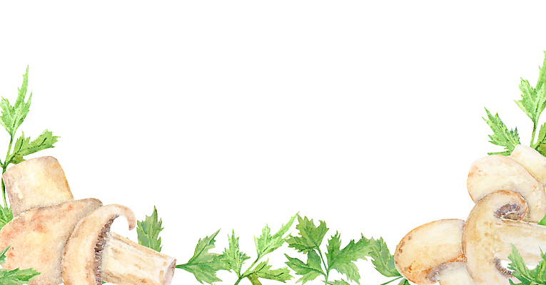 JPG 해외이미지 일러스트 파슬리 사람없음 양송이 카피스페이스 해외202310 해외일러스트 채소 버섯 공백 파일형식