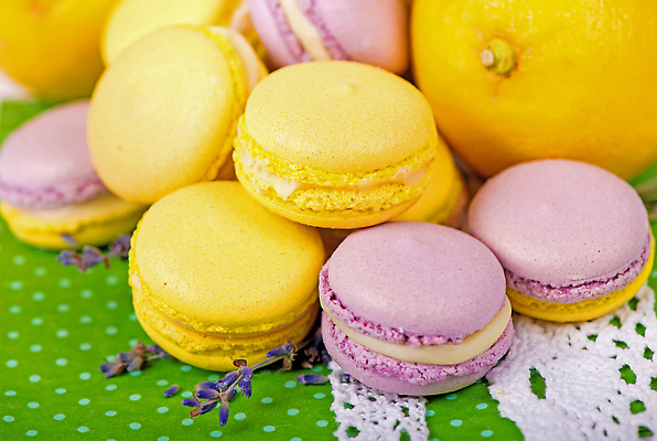 포토 JPG 해외이미지 꽃 백그라운드 과일 사람없음 컬러풀 달콤 허브 마카롱 해외202310 해외포토 식물 컬러 디저트 맛 파일형식