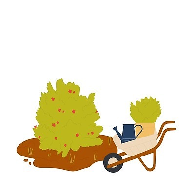 EPS 해외이미지 클립아트 식물 손 디자인 꽃 화분 백그라운드 농업 일러스트 자연 주택 씨앗 잔디 그래픽 초록색 물 여름 울타리 세트 농장 정원 흙 수레 봄 장비 흰색 기구 공구 업무 플랫 캔 냄비 만화 수집 모종삽 양동이 물주기 원예 조경 분무기 고립 돌봄 모종 밭일 엘리먼트 벡터 해외202310 해외일러스트 자연요소 계절 산업 컬러 모션 취미 건물 신체부위 담장 카트 도구 작업 솥 삽 생태계 파일형식 건축물 주방용품 사람 건축 생활용품 오브젝트