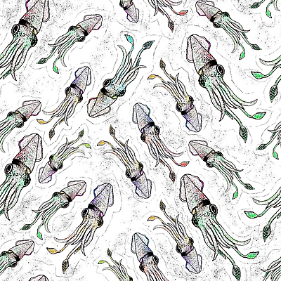 포토 JPG 해외이미지 동물 손 디자인 야생동물 바다 백그라운드 패턴 일러스트 자연 벽지 추상 생물 미술 사람없음 그래픽 장식 물 수중 직물 얽힘 인쇄 만화 스케치 오징어 그림 질감 손그림 수족관 모음 판화 촉수 몬스터 해외202310 해외일러스트 자연요소 무늬 문화예술 연체동물 한글 신체부위 수중동물 생태계 파일형식