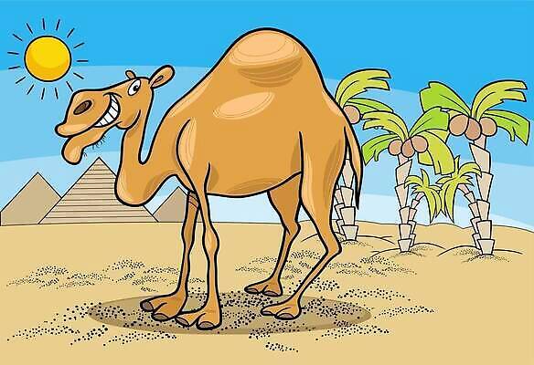 EPS 해외이미지 클립아트 나무 동물 캐릭터 디자인 행복 모래 일러스트 포유류 아프리카 자연 동물원 이집트 종류 손바닥 그래픽 장식 태양 사막 유머 만화 그림 피라미드 낙타 코코넛 혹 단봉낙타 벡터 해외202310 해외일러스트 일러캐릭터 자연요소 식물 건축물 손 감정 나라 과일 생태계 랜드마크 파일형식