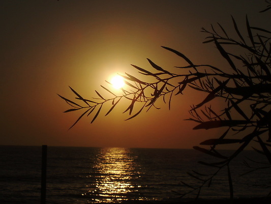 포토 JPG 해외이미지 구름 실루엣 호수 파도 바다 컬러 섬 여행 백그라운드 오렌지 자연 하늘 추상 휴가 휴식 풍경 사람없음 야외 빨간색 물 여름 파란색 빛 컬러풀 햇빛 태양 뷰티 반사 노란색 일출 황혼 일몰 새벽 저녁 칠면조 수평선 해외202310 해외포토 자연요소 계절 컨셉 무늬 과일 조류 촬영기법 노을 야간 생태계 파일형식