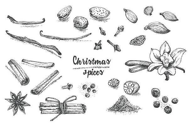 EPS 해외이미지 전통 디자인 계절 꽃 별 음료 선 크리스마스 겨울 패턴 일러스트 재료 디저트 잉크 요리 미술 장식 세트 와인 검은색 수확 흰색 축하 뜨거움 막대기 낙서 스케치 인도인 향신료 그림 복고 손그림 아몬드 향 후추 고립 바닐라 시나몬 핸드메이드 벡터 뱅쇼 맛있는 해외202310 해외일러스트 자연요소 외국인 식물 기념일 음식 컬러 컨셉 무늬 농업 문화예술 주류 동양인 견과류 향미료 파일형식