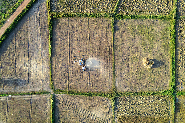 포토 JPG 해외이미지 식물 산업 밭 농업 조류 사람없음 농작물 농장 농경지 기계 흙 장비 수확 시골 작업 땅 밀 정사각형 트랙터 밭일 파종 해외202310 해외포토 도형 동물 곡류 농사 농기계 특수차량 파일형식
