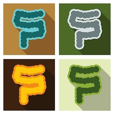 EPS 해외이미지 식물 음식 신체 일러스트 해부 건강 사람 라벨 흰색 최고 그리기 오르간 작음 큼 만화 그림 대학교 윤곽 감염 운하 시스템 박테리아 찬성 복근 선로 초보 벡터 해외202310 해외일러스트 컬러 의학 학교 모션 근육 프레임 건반악기 크기 파일형식