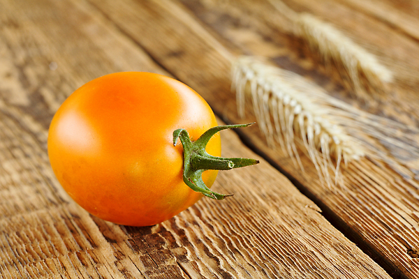 포토 JPG 해외이미지 음식 백그라운드 다이어트 토마토 채소 과일 재료 자연 디저트 건조 건강 요리 사람없음 갈색 노란색 껍질 닫기 맛 밀 먹기 가득함 오브젝트 유기농 귀 내추럴 맛있는 해외202310 해외포토 웰빙 컬러 컨셉 모션 곡류 신체부위 생태계 파일형식