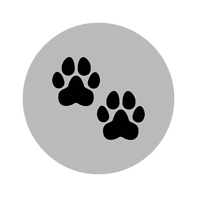 EPS 해외이미지 모양 동물 디자인 선 백그라운드 컨셉 일러스트 비즈니스 벽지 추상 이야기 그래픽 여름 반려동물 세트 픽토그램 세일 검은색 고양이 덮개 흰색 원형 개 낙서 가격 수집 심볼 메뉴 팩 주인 수의사 동반자 소셜 얇은 벡터 미니멀 강조 해외202310 해외일러스트 도형 계절 컬러 무늬 포유류 화장품 의사 뚜껑 파일형식