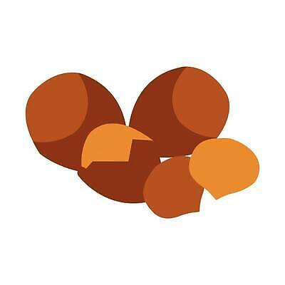 EPS 해외이미지 식물 디자인 음식 백그라운드 잎 다이어트 일러스트 재료 자연 콩 건강 씨앗 그래픽 세트 갈색 견과류 껍질 흰색 신선 플랫 맛 기름 상품 수집 먹기 심볼 오브젝트 사인 유기농 날것 심플 땅콩 아몬드 내추럴 고립 숙성 엘리먼트 채식주의자 캐슈넛 피스타치오 벡터 맛있는 해외202310 해외일러스트 웰빙 컬러 컨셉 모션 곡류 생태계 채식 파일형식