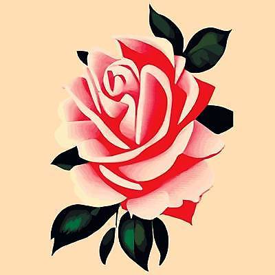 EPS 해외이미지 무료이미지 잎 일러스트 사람없음 장미 해외202310 해외일러스트 식물 꽃 파일형식 벡터