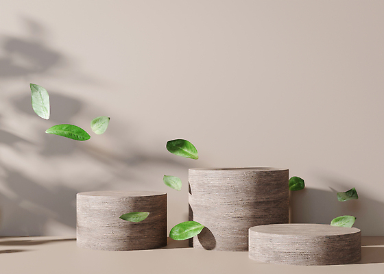 포토 JPG 해외이미지 백그라운드 나뭇잎 사람없음 공간 원형 단상 포디움 해외202310 해외포토 도형 잎 무대 파일형식