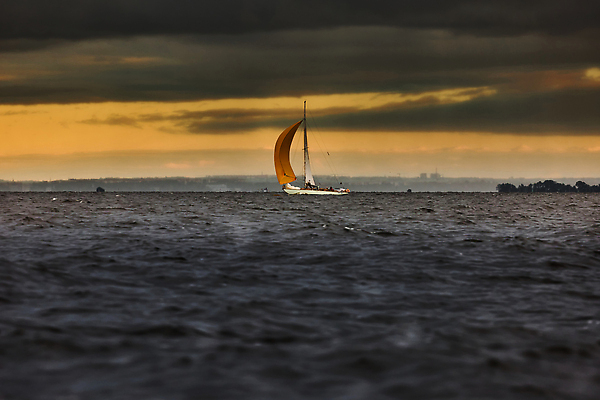 포토 JPG 해외이미지 구름 물결 파도 바다 백그라운드 요트 자연 회색배경 하늘 표면 날씨 휴식 항해 파노라마 풍경 사람없음 빛 컬러풀 반사 환경 고요 황혼 일몰 경쟁 보트 떨어짐 저녁 크루즈 질감 롤 폭풍 추적 레가타 폭풍우 수평선 해외202310 해외포토 자연요소 컬러 컨셉 배_교통 모션 촬영기법 노을 회색 비_날씨 야간 자연재해 생태계 파일형식