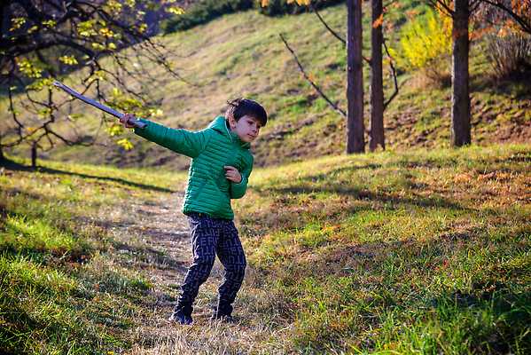 포토 JPG 해외이미지 나무 라이프스타일 손 공원 행복 길 어린이 스포츠 여행 가족 자국 자연 놀이 휴가 한명 사람 풍경 소년 야외 물 여름 여행객 봄 산책 트래킹 하이킹 탐험 아기 막대기 숲 해외202310 해외포토 자연요소 식물 1 계절 공공시설 남자 감정 관계 레저 휴식 생활 신체부위 생태계 파일형식