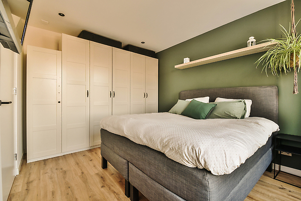 포토 JPG 해외이미지 식물 쿠션 탁자 선반 사람없음 초록색 인테리어 바구니 문 공간 방 침대 옷장놀이 해외202310 해외포토 디자인 컬러 가구 놀이 파일형식