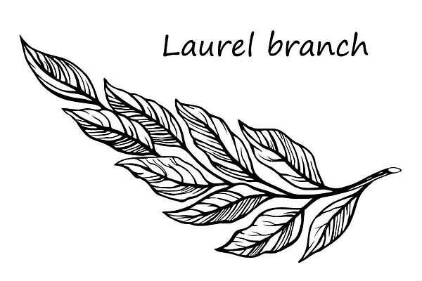 EPS 해외이미지 식물 템플릿 손 디자인 배너 꽃 결혼 백그라운드 잎 꽃무늬 패턴 일러스트 자연 미술 그래픽 장식 정원 검은색 화환 봄 수확 흰색 나뭇가지 인사 만 신용카드 숲 스케치 수집 문신 허브 그림 비네팅 내추럴 고립 엘리먼트 월계수 스타일 벡터 국경 해외202310 해외일러스트 나무 계절 컬러 무늬 농업 문화예술 촬영기법 이벤트 신체부위 금융 예절 생태계 파일형식