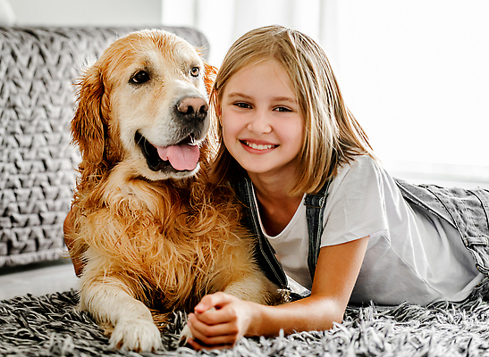 포토 JPG 해외이미지 동물 백인 라이프스타일 여자 행복 어린이 바닥 아파트 주택 함께함 실내 사랑 한명 사람 야외 반려동물 햇빛 우정 카펫 회색 황금 개 리트리버 래브라도리트리버 송곳니 순혈 해외202310 해외포토 서양인 1 감정 컬러 컨셉 포유류 내부 건물 생활 친구 태양 치아 파일형식