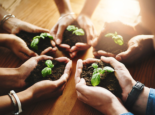 포토 JPG 해외이미지 손 들기 신체부위 새싹 자연보호 희망 흙 성장 손모으기 해외202310 해외포토 식물 감정 모션 자연 사람 손짓 보호 파일형식