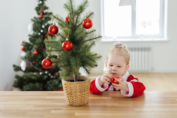 포토 JPG 해외이미지 백인 여자 화분 크리스마스 가족 휴가 한명 들기 상반신 앞모습 크리스마스트리 아기 여자아기한명만 오너먼트 해외202310 해외포토 서양인 1 기념일 뷰포인트 크리스마스장식 관계 모션 사람 여자한명만 여자아기만 파일형식