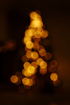 포토 JPG 해외이미지 나무 디자인 계절 백그라운드 크리스마스 겨울 휴가 전등 새로움 새해 주택 따뜻함 선물 사람없음 내부 장식 세로 빛 컬러풀 뷰티 크리스마스트리 축제 화환 어둠 방 흰색 축하 황금 저녁 소프트포커스 12월 연도 보케 장면 해외202310 해외포토 식물 기념일 꽃 컬러 컨셉 조명 촬영기법 건물 날짜 야간 파일형식