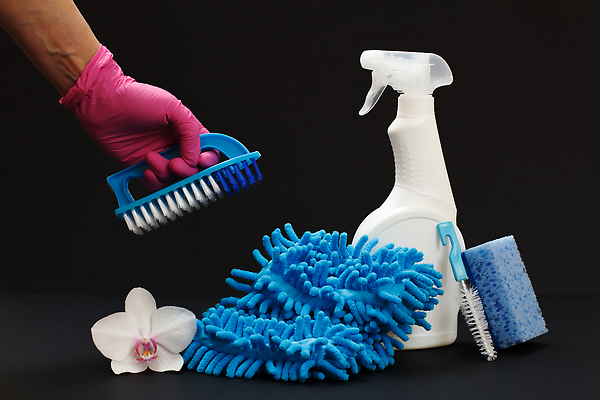 포토 JPG 해외이미지 손 꽃 들기 신체부위 깨끗함 솔 청소도구 청소 세제 걸레 스펀지 해외202310 해외포토 식물 컨셉 모션 사람 도구 파일형식