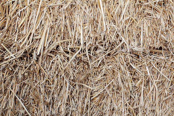 포토 JPG 해외이미지 계절 컬러 백그라운드 패턴 밭 농업 자연 건조 사람없음 농작물 농장 농경지 갈색 노란색 쌓기 마을 맑음 수확 덮개 시골 황금 먹이 낟알 밀 묘사 창고 유기농 질감 수납 뭉치 밀짚 내추럴 외양간 밭일 해외202310 해외포토 웰빙 산업 무늬 모션 날씨 곡류 뚜껑 짚 생태계 파일형식