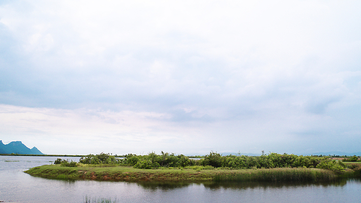 포토 JPG 해외이미지 나무 구름 공원 아시아 호수 여행 백그라운드 건축양식 태국 자연 하늘 아침 휴가 산 파노라마 풍경 사람없음 야외 초록색 물 여름 파란색 강 뷰티 반사 여행객 환경 침묵 일몰 새벽 안개 숲 언덕 낚시꾼 내추럴 전국 수평선 해외202310 해외포토 주간 자연요소 식물 계절 공공시설 건축 나라 컬러 날씨 촬영기법 사람 노을 소리 생태계 파일형식