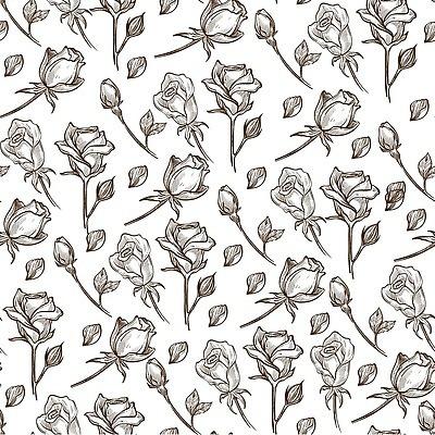 EPS 해외이미지 식물 기념일 꽃잎 꽃 줄기 꽃다발 잎 꽃무늬 패턴 일러스트 자연 휴가 흑백 발렌타인데이 선물 미술 장식 여름 장미 정원 봄 낭만 수확 벚꽃 축하 인사 신용카드 우아함 스케치 그림 복고 윤곽 부드러움 내추럴 벡터 현실 해외202310 해외일러스트 계절 컨셉 무늬 농업 데이이벤트 문화예술 촬영기법 이벤트 금융 예절 감각 생태계 파일형식